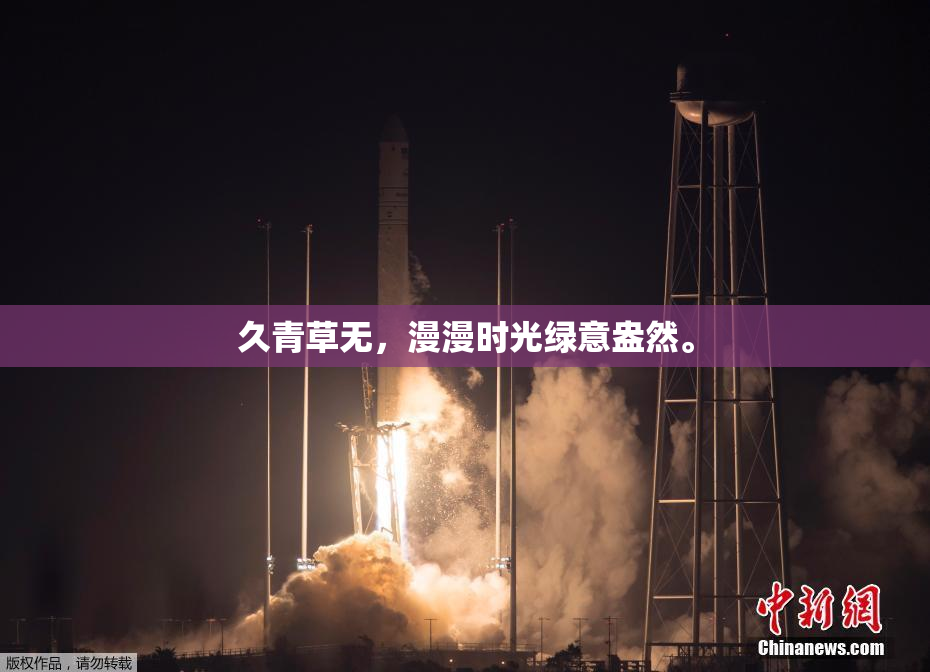 久青草无，漫漫时光绿意盎然。