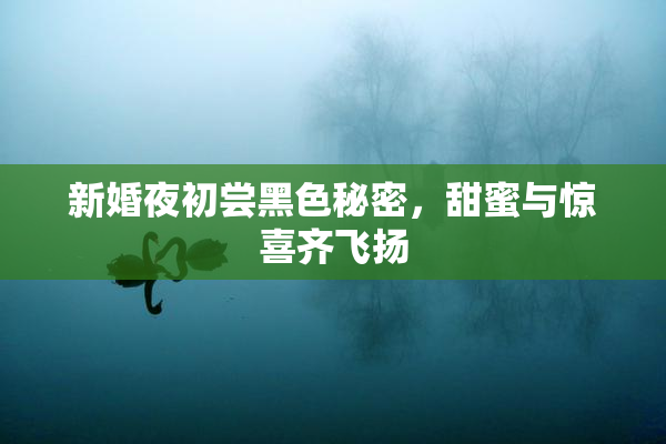 新婚夜初尝黑色秘密，甜蜜与惊喜齐飞扬