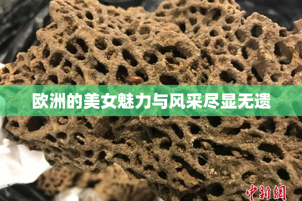 欧洲的美女魅力与风采尽显无遗