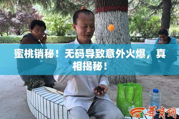 蜜桃销秘！无码导致意外火爆，真相揭秘！