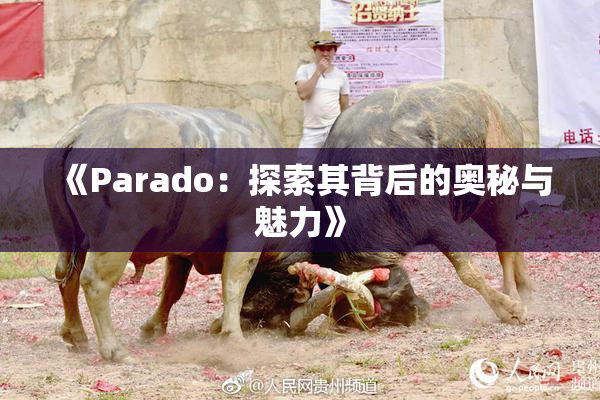 《Parado：探索其背后的奥秘与魅力》