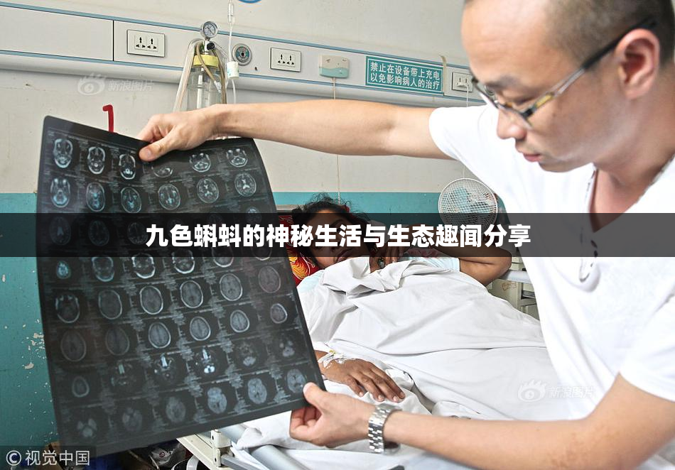 九色蝌蚪的神秘生活与生态趣闻分享