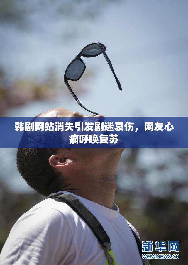 韩剧网站消失引发剧迷哀伤，网友心痛呼唤复苏
