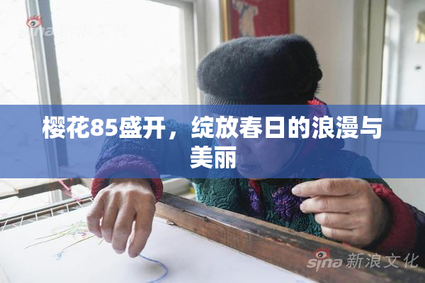 樱花85盛开，绽放春日的浪漫与美丽