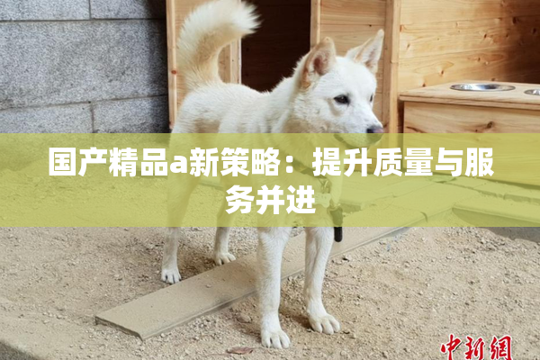 国产精品a新策略：提升质量与服务并进
