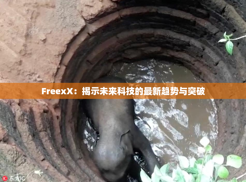 FreexX：揭示未来科技的最新趋势与突破