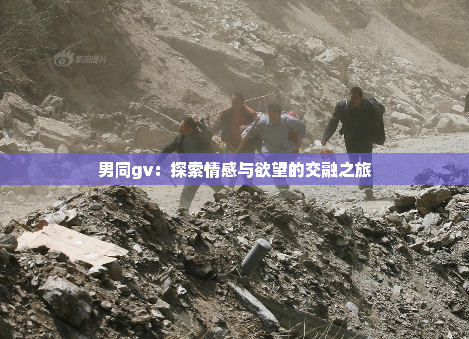 男同gv：探索情感与欲望的交融之旅