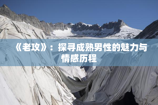 《老攻》：探寻成熟男性的魅力与情感历程