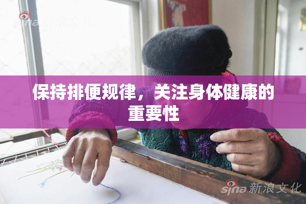 保持排便规律，关注身体健康的重要性