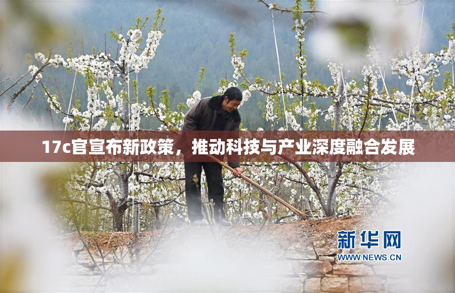 17c官宣布新政策，推动科技与产业深度融合发展