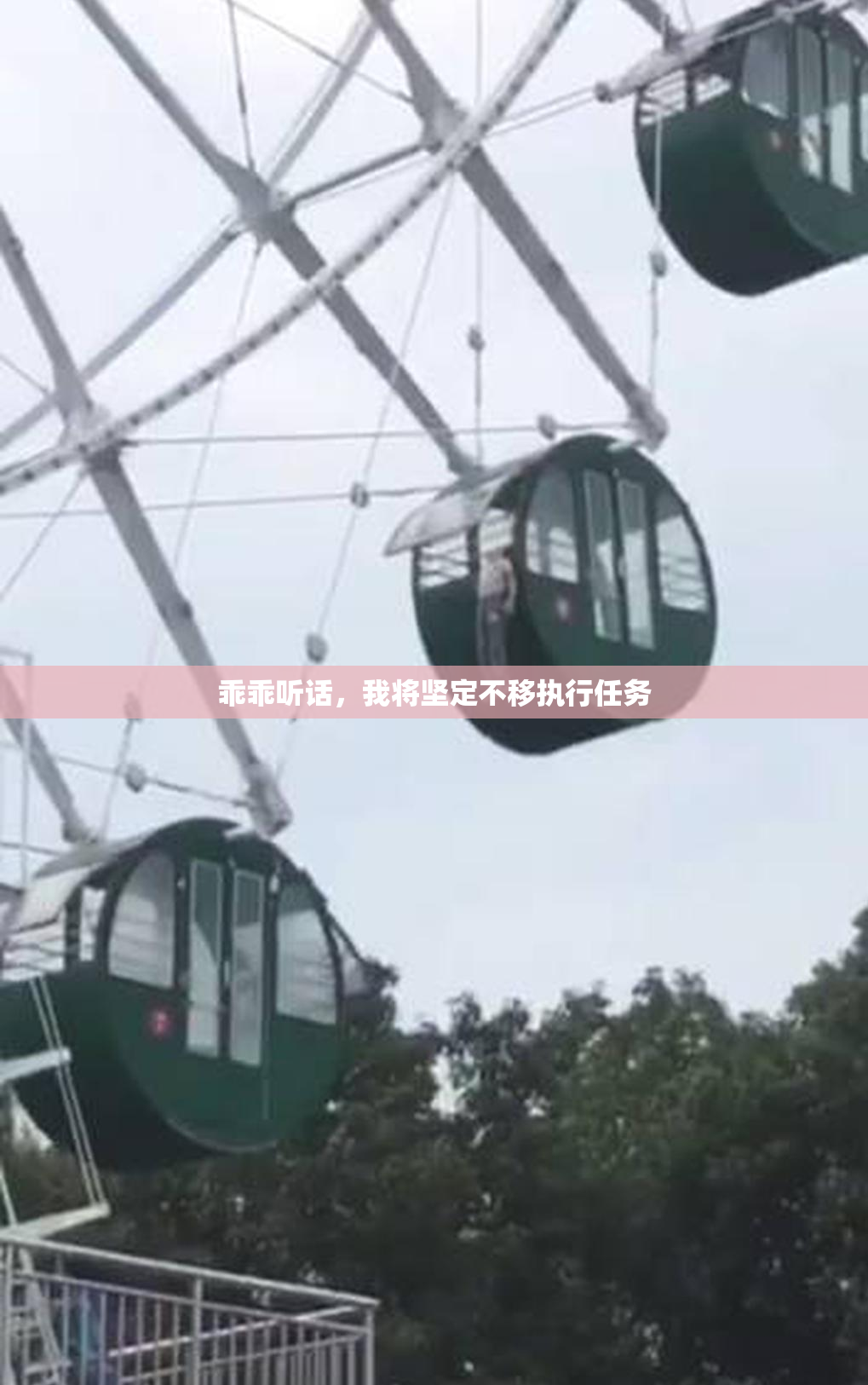 乖乖听话，我将坚定不移执行任务