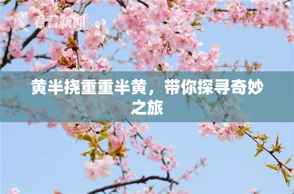 黄半挠重重半黄，带你探寻奇妙之旅