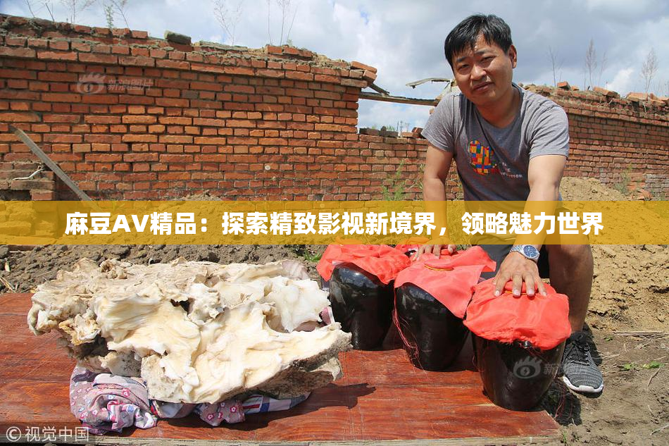 麻豆AV精品：探索精致影视新境界，领略魅力世界