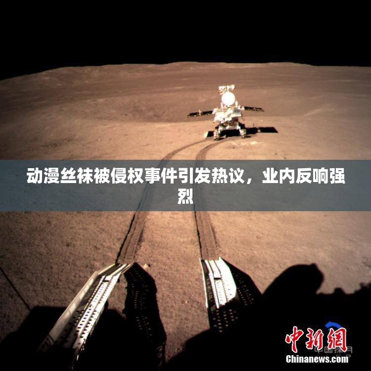 动漫丝袜被侵权事件引发热议，业内反响强烈