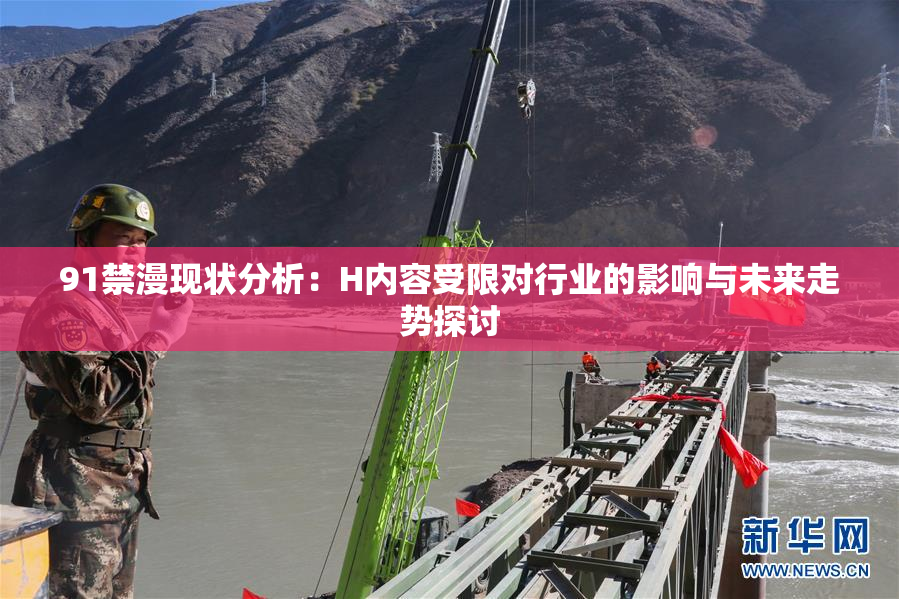 91禁漫现状分析：H内容受限对行业的影响与未来走势探讨