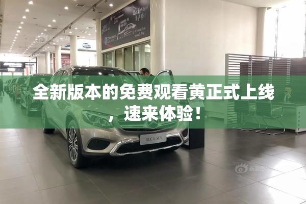 全新版本的免费观看黄正式上线，速来体验！