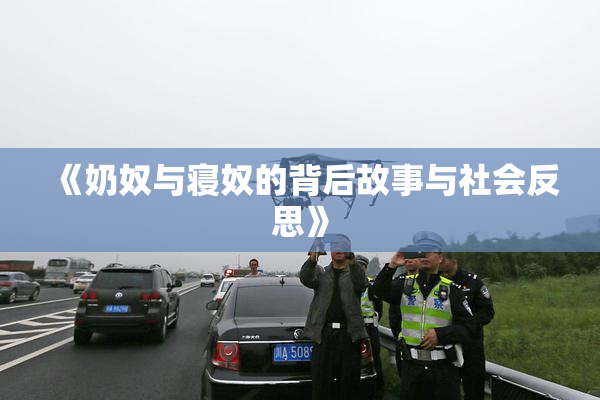 《奶奴与寝奴的背后故事与社会反思》