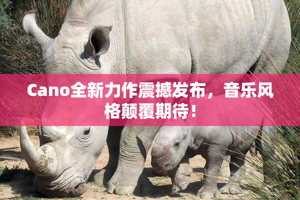 Cano全新力作震撼发布，音乐风格颠覆期待！