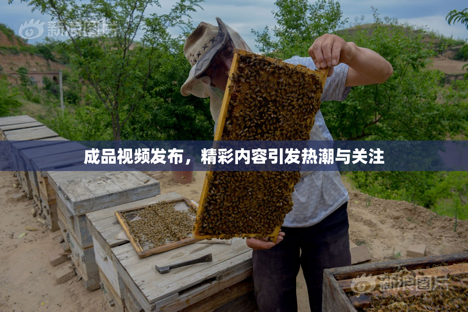 成品视频发布，精彩内容引发热潮与关注