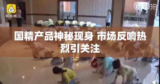 国精产品神秘现身 市场反响热烈引关注