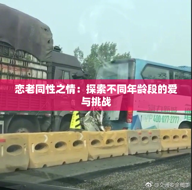 恋老同性之情：探索不同年龄段的爱与挑战