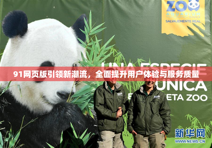 91网页版引领新潮流，全面提升用户体验与服务质量