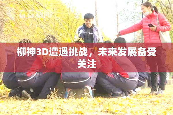 柳神3D遭遇挑战，未来发展备受关注