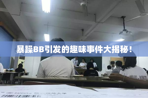 暴躁BB引发的趣味事件大揭秘！