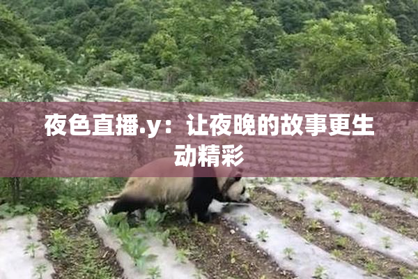 夜色直播.y：让夜晚的故事更生动精彩
