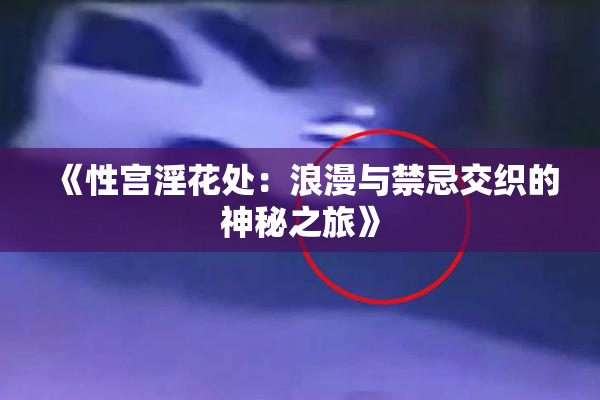 《性宫淫花处：浪漫与禁忌交织的神秘之旅》