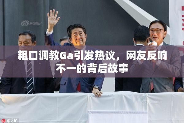 粗口调教Ga引发热议，网友反响不一的背后故事