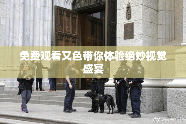 免费观看又色带你体验绝妙视觉盛宴