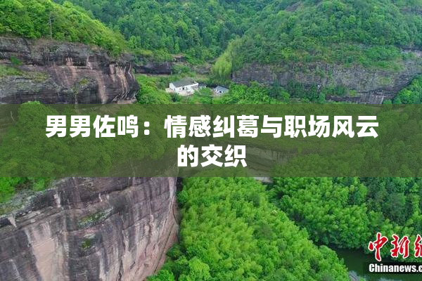 男男佐鸣：情感纠葛与职场风云的交织