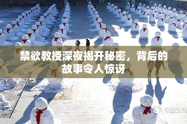 禁欲教授深夜揭开秘密，背后的故事令人惊讶