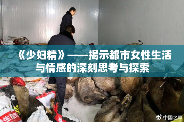 《少妇精》——揭示都市女性生活与情感的深刻思考与探索
