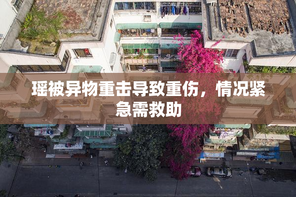 瑶被异物重击导致重伤，情况紧急需救助