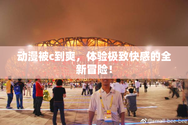 动漫被c到爽，体验极致快感的全新冒险！