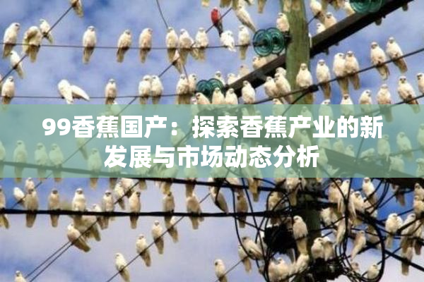 99香蕉国产：探索香蕉产业的新发展与市场动态分析