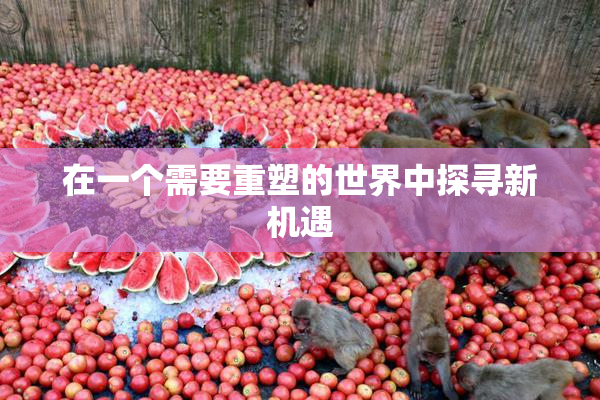 在一个需要重塑的世界中探寻新机遇