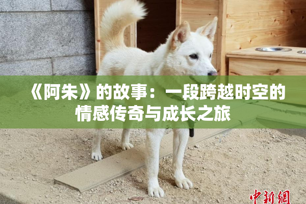《阿朱》的故事：一段跨越时空的情感传奇与成长之旅