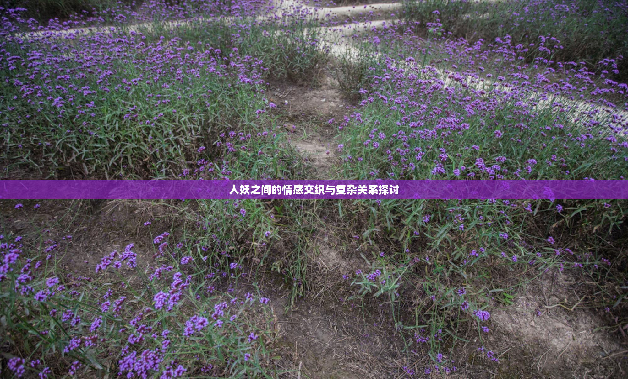 人妖之间的情感交织与复杂关系探讨