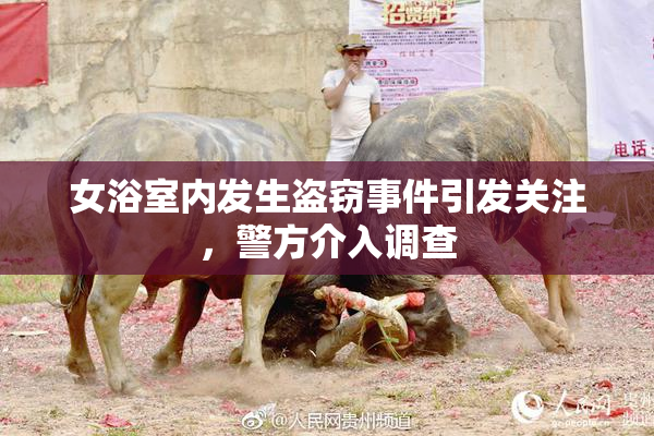 女浴室内发生盗窃事件引发关注，警方介入调查