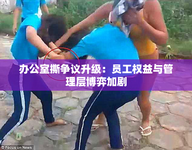 办公室撕争议升级：员工权益与管理层博弈加剧