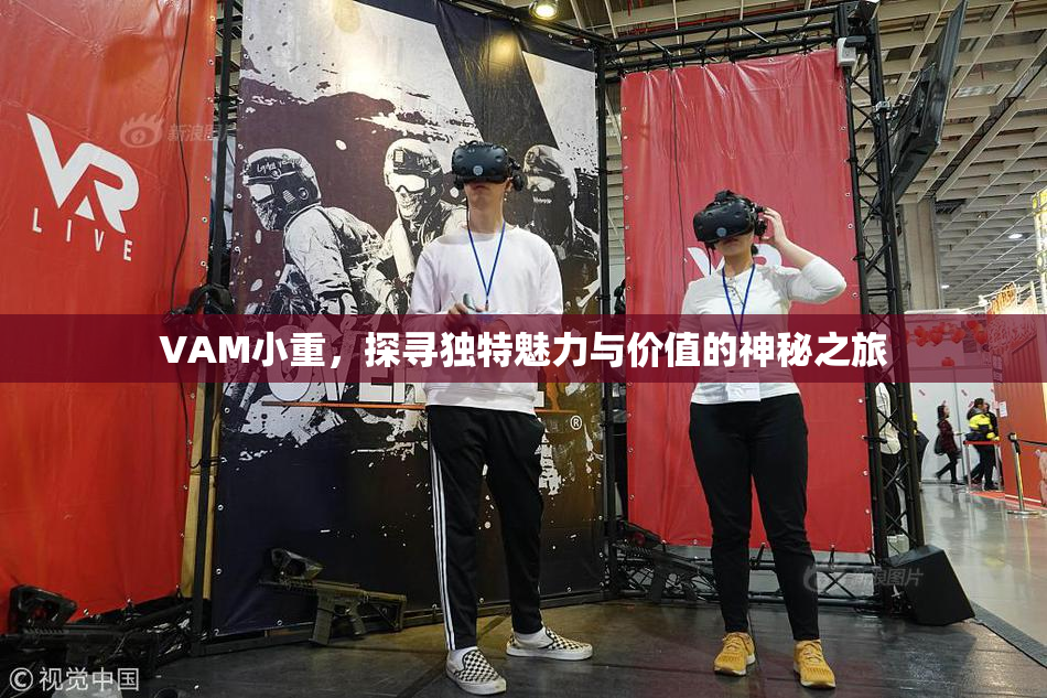 VAM小重，探寻独特魅力与价值的神秘之旅