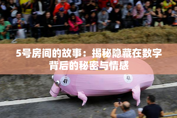 5号房间的故事：揭秘隐藏在数字背后的秘密与情感