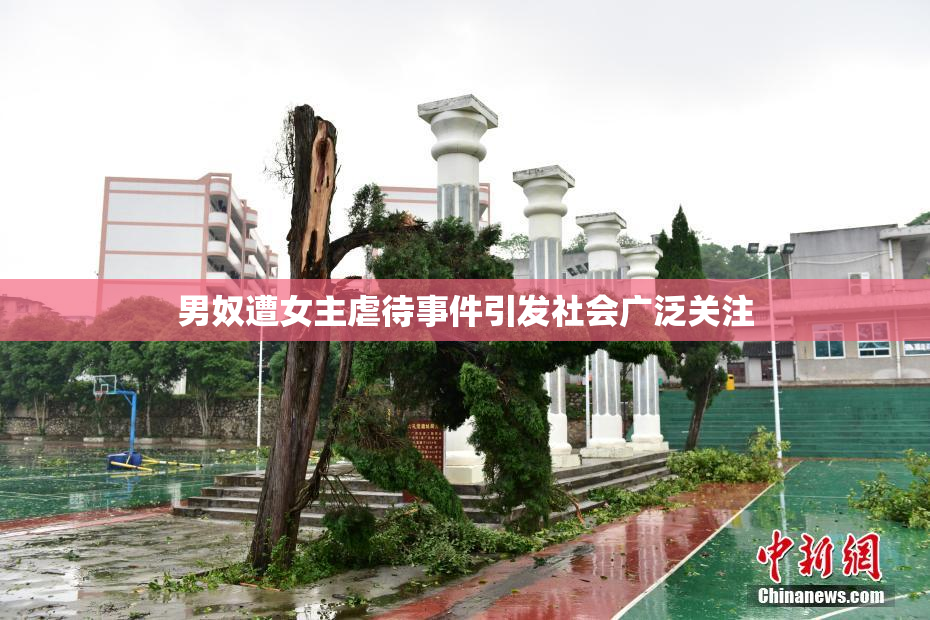 男奴遭女主虐待事件引发社会广泛关注