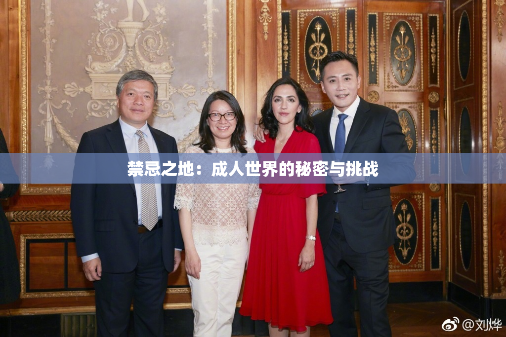 禁忌之地：成人世界的秘密与挑战