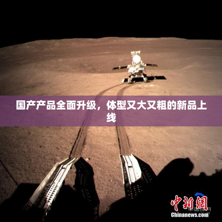 国产产品全面升级，体型又大又粗的新品上线