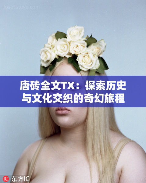 唐砖全文TX：探索历史与文化交织的奇幻旅程