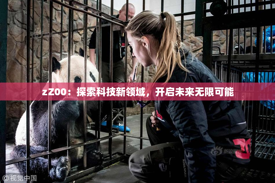 zZ00：探索科技新领域，开启未来无限可能